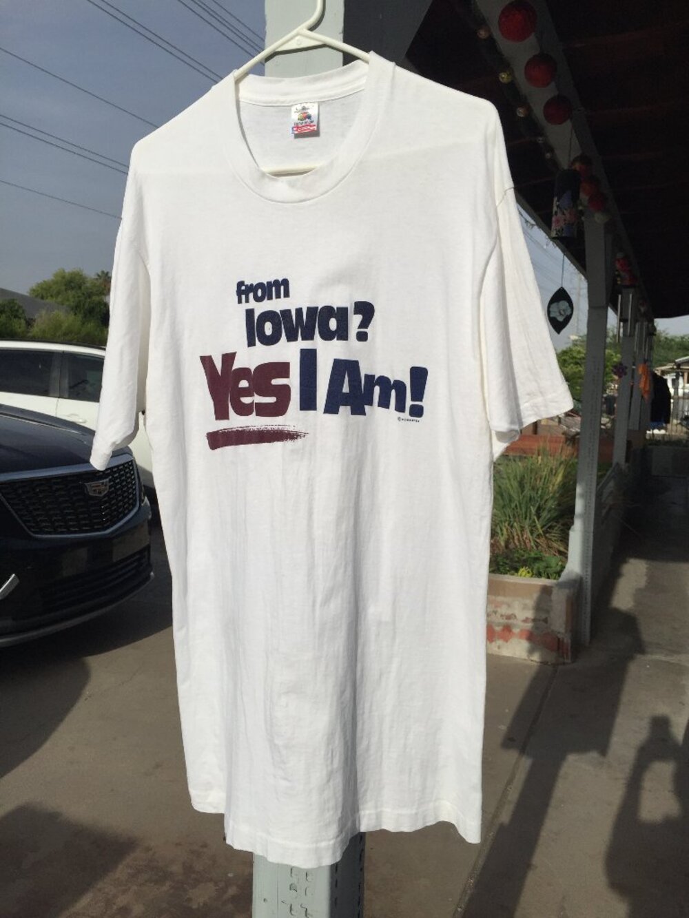 Vintage 90s Fruit of the Loom Iowa T-Shirt L Single Stitch Made in USA Graphic T